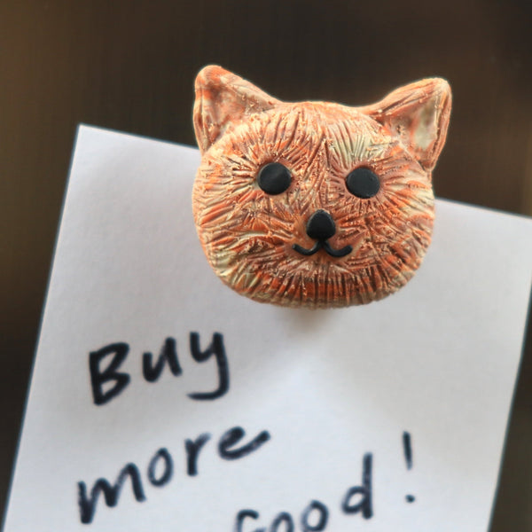 DIY Cat Magnet Kit